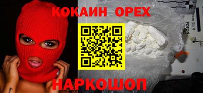 шишки Будённовск