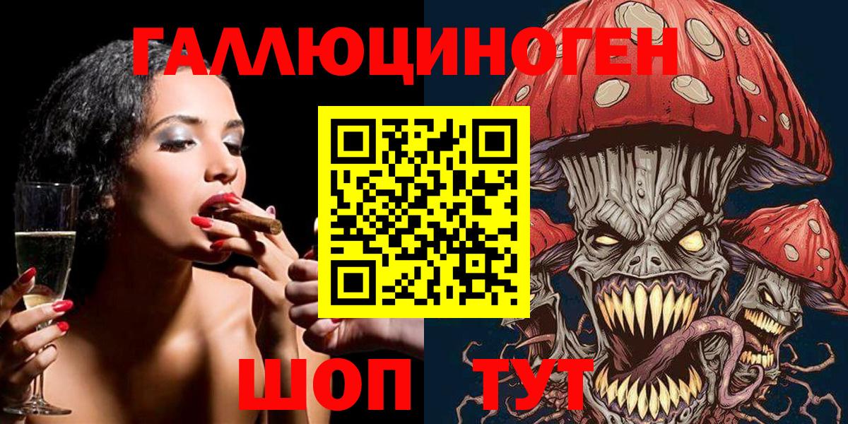 Псилоцибиновые грибы Psilocybe Отрадное