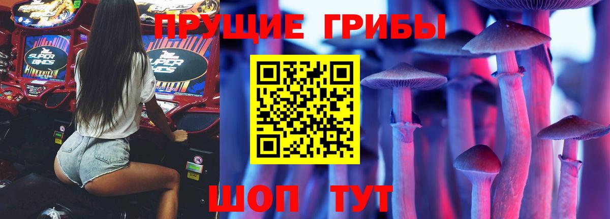 купить наркоту  Псилоцибиновые грибы GOLDEN TEACHER  Вход с VPN  Отрадное 